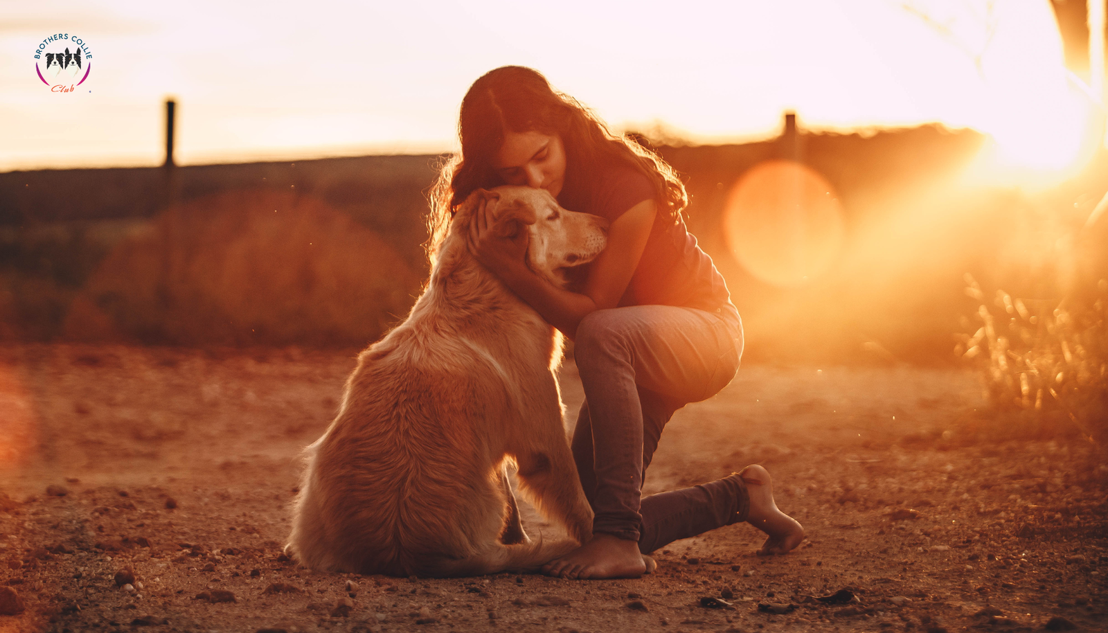 Día Mundial de la Salud Mental: El Impacto Positivo de los Perros en Nuestro Bienestar