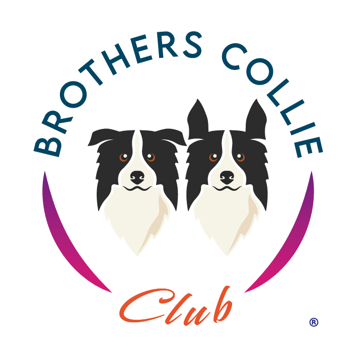 Logo oficial de Brothers Collie Club con dos Border Collies y marca registrada