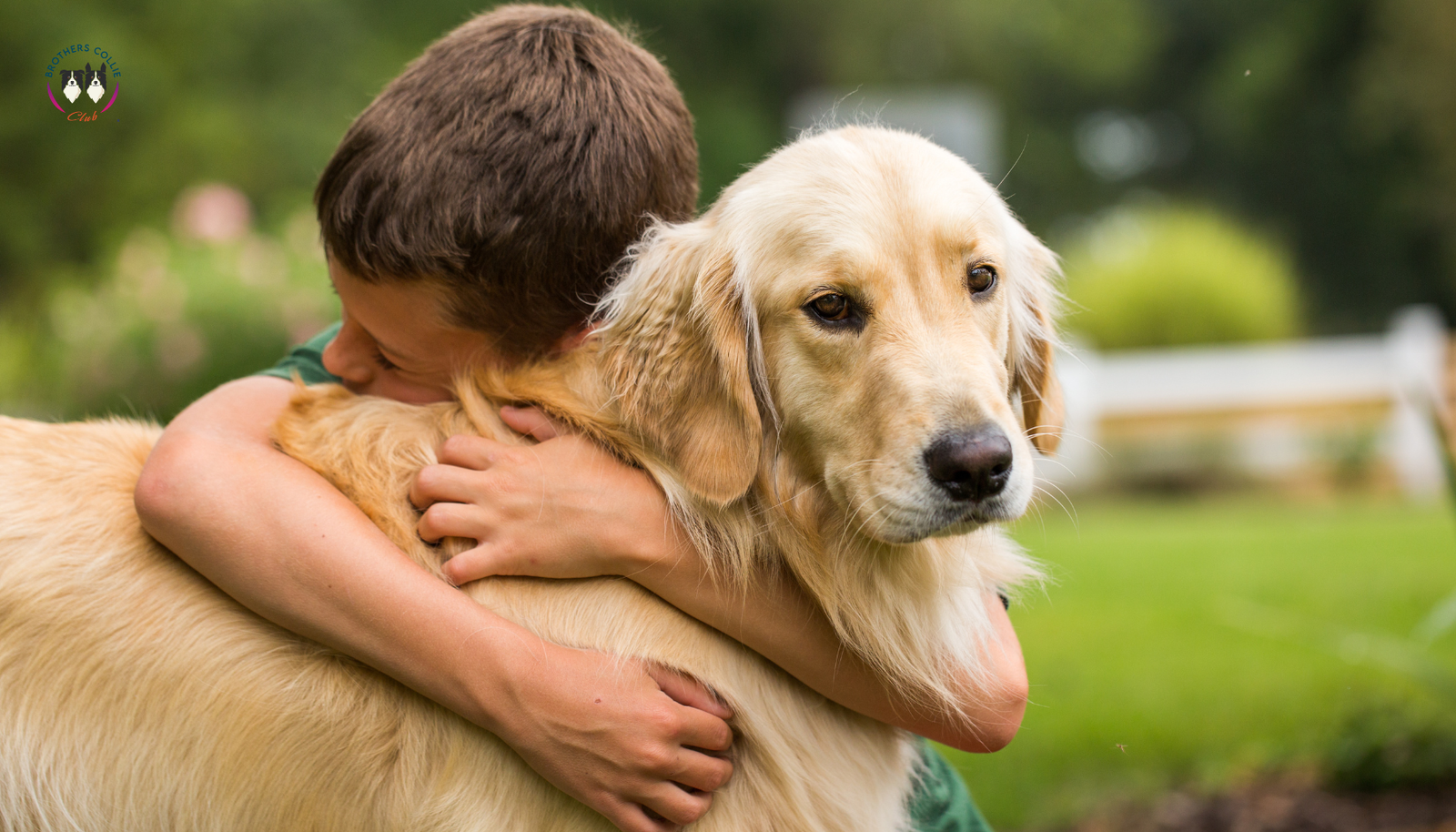 Los Beneficios de la Convivencia de los Niños con los Perros